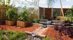 Climate change garden - Credit: RHS